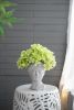 Greek Style Cement Head Planter - Indoor Outdoor Home Garden Decor, D6" x 9" - as Pic