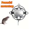 1pc High-Sensitivity Small Mousetrap for Indoor and Outdoor Use - Effective Rodent Control - 23cm/9in