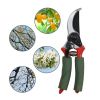 Garden Tools Professional Hand Pruning Shears - Green & Red - Gardening Shears