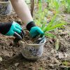 Waterproof Garden Gloves With Claws For Yard Work - Green - 2 pair